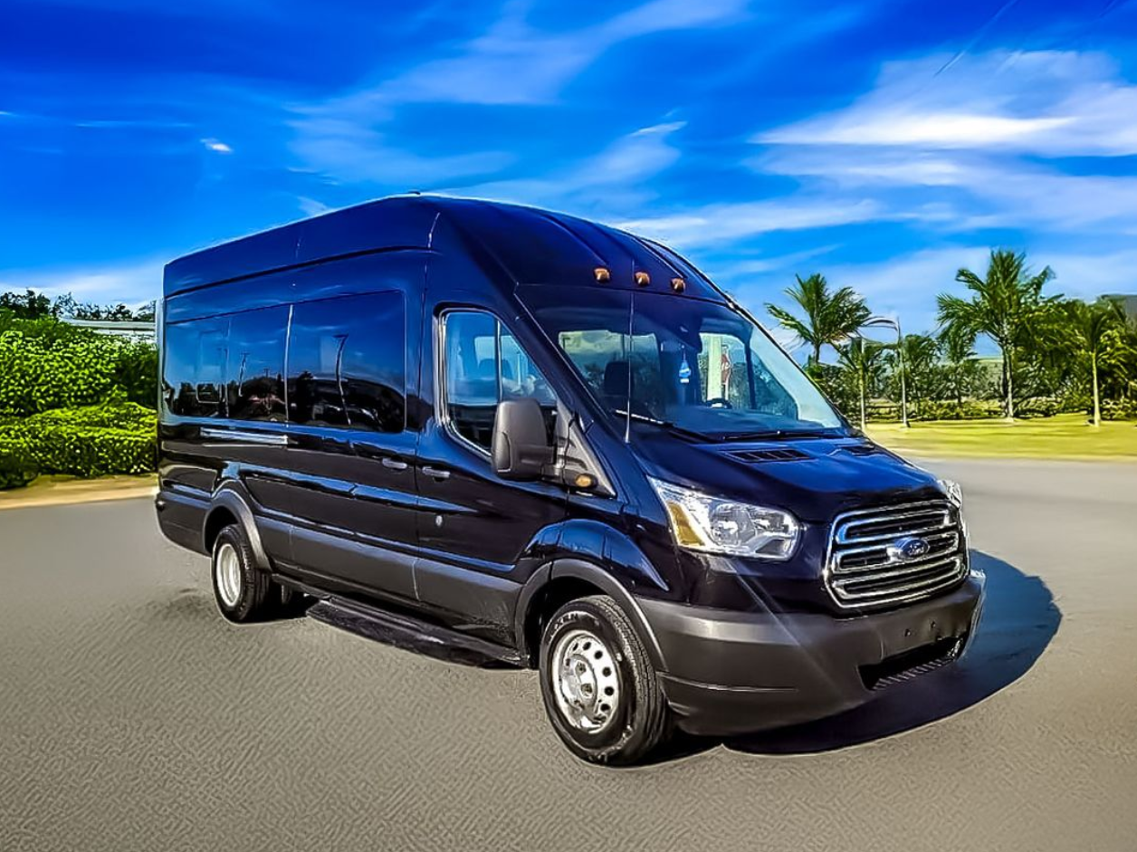 A black Ford Transit passenger van parked on an asphalt lot under a blue sky with palm trees in the background.