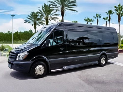 Black passenger van parked outdoors with palm trees in background.
