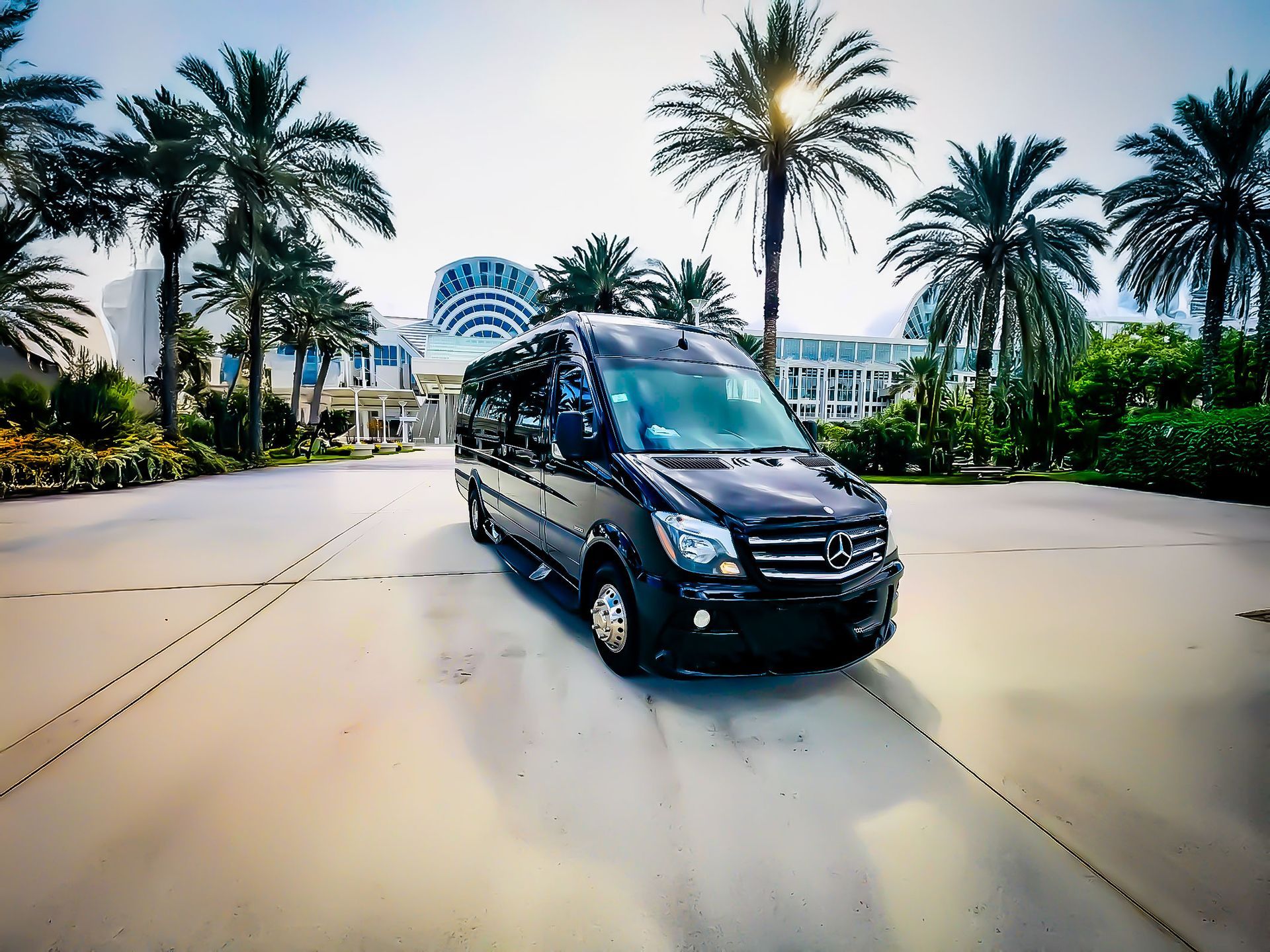 A black Mercedes-Benz Sprinter van parked on a paved driveway in front of a tropical resort with palm trees.
