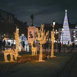Lit holiday trees and glowing lights in a park at night with a lit Christmas tree in the background