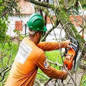 Worker in orange shirt and green helmet trimming tree branches with a chainsaw near a brick wall