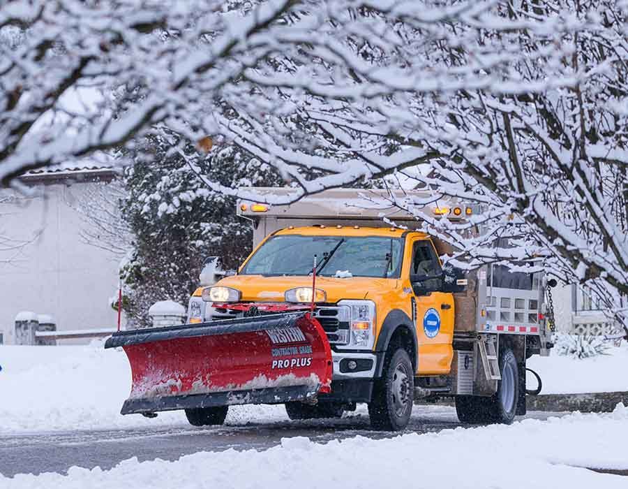 Yellow snowplow truck clearing a snowy road lined with snow-covered trees