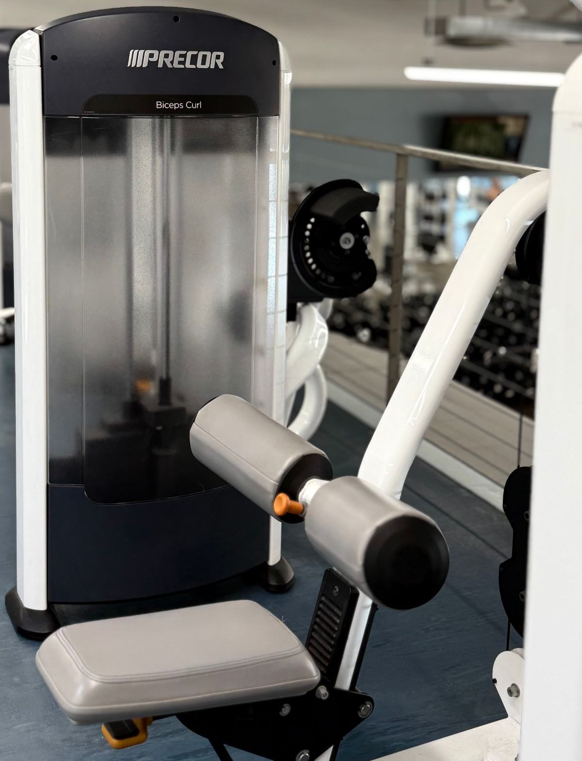Precor Selectorized Strength
