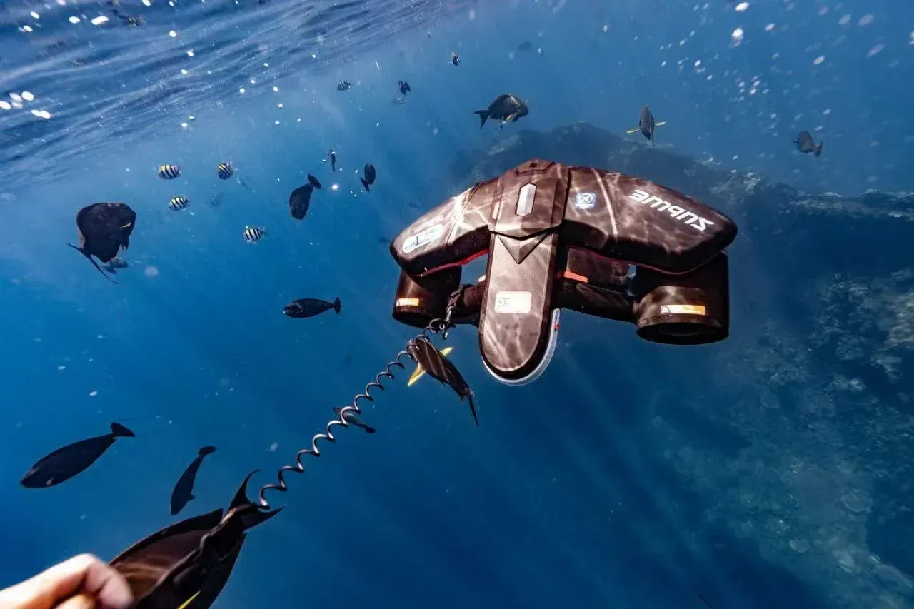 Sublue sous la mer avec des poissons autour