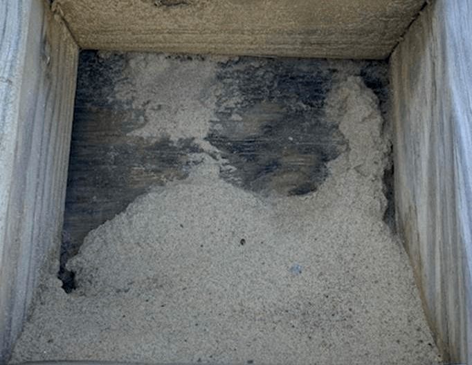 White granular material piled in a metal container with dark residue on the back wall