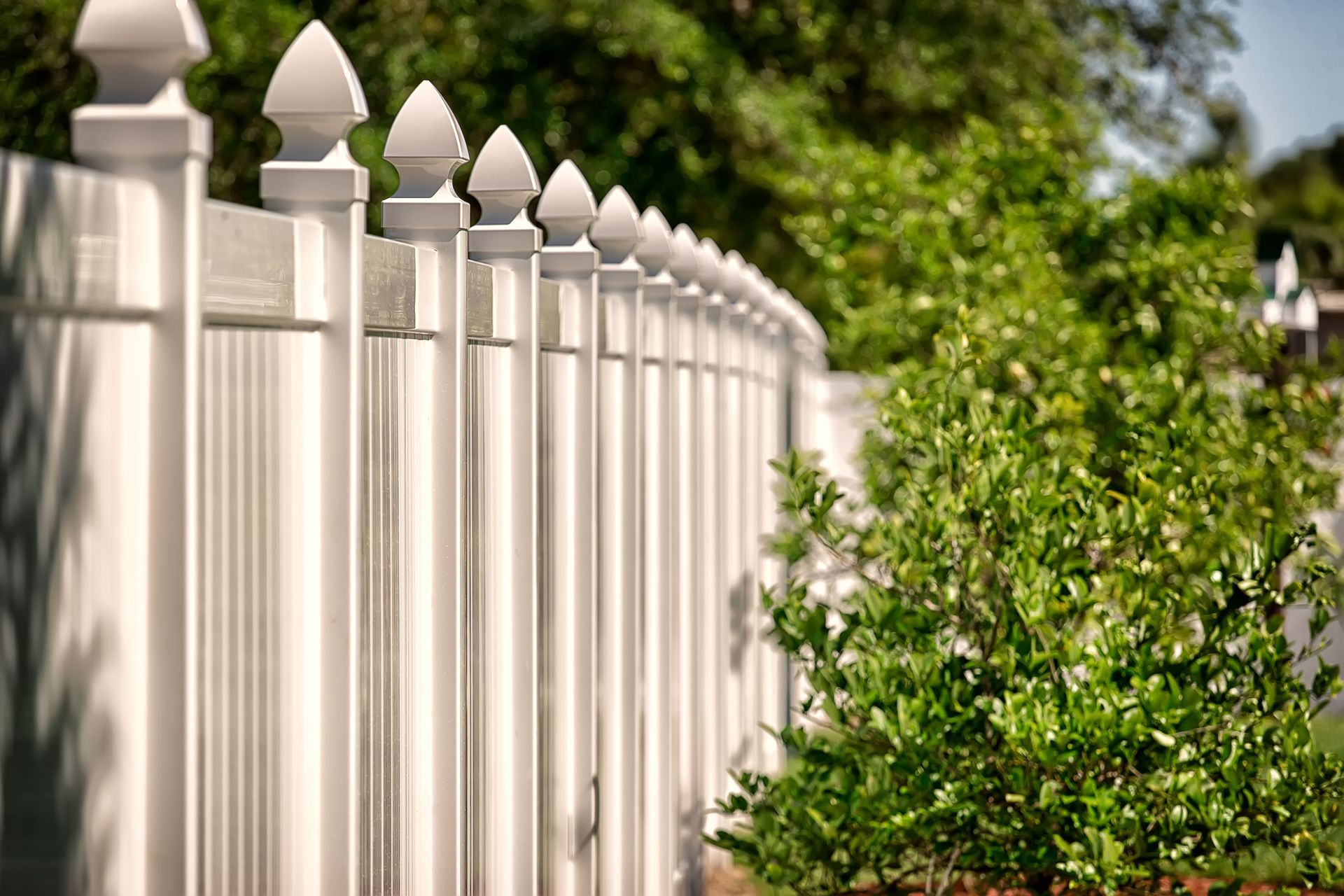 White picket fence beside dense green shrubs in a sunny garden