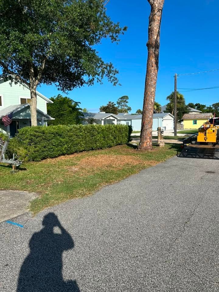 Residential street with a tree, hedge, and parked utility truck under a clear blue sky