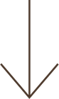 A green arrow pointing down on a white background.