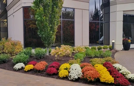 Professional commercial landscaping services in Long Valley, NJ
