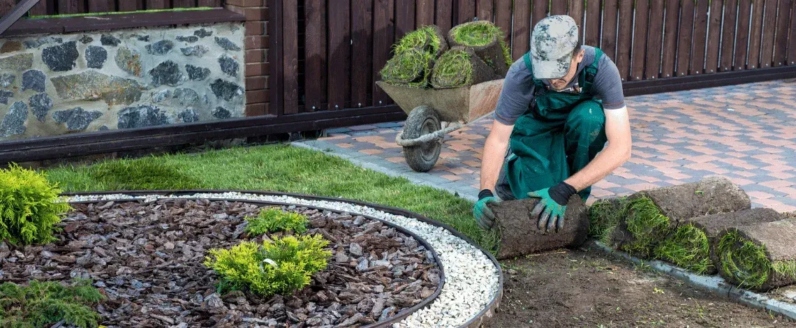 best plants for morris county nj yards