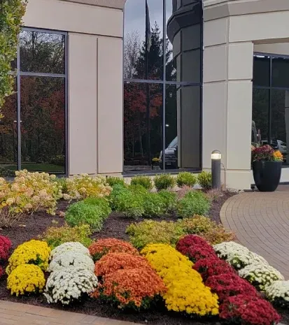 Professional commercial landscape installation in Long Valley, NJ