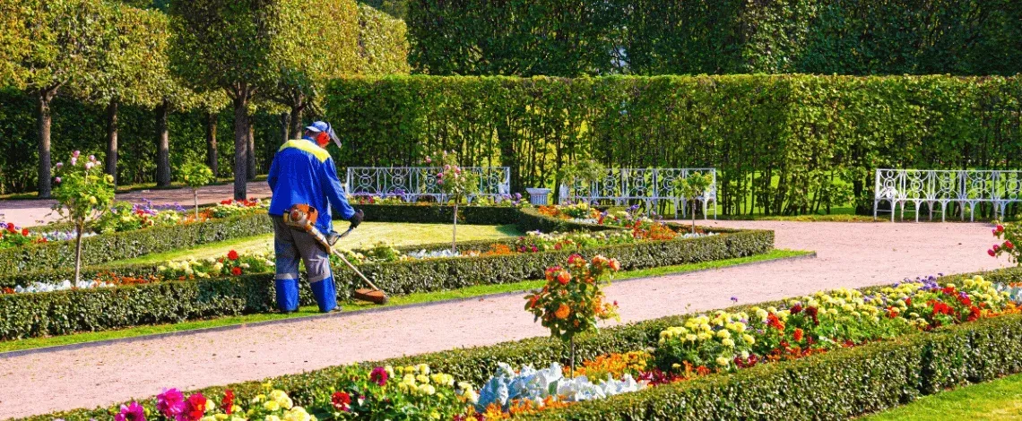 landscape maintenance contract in nj what it includes