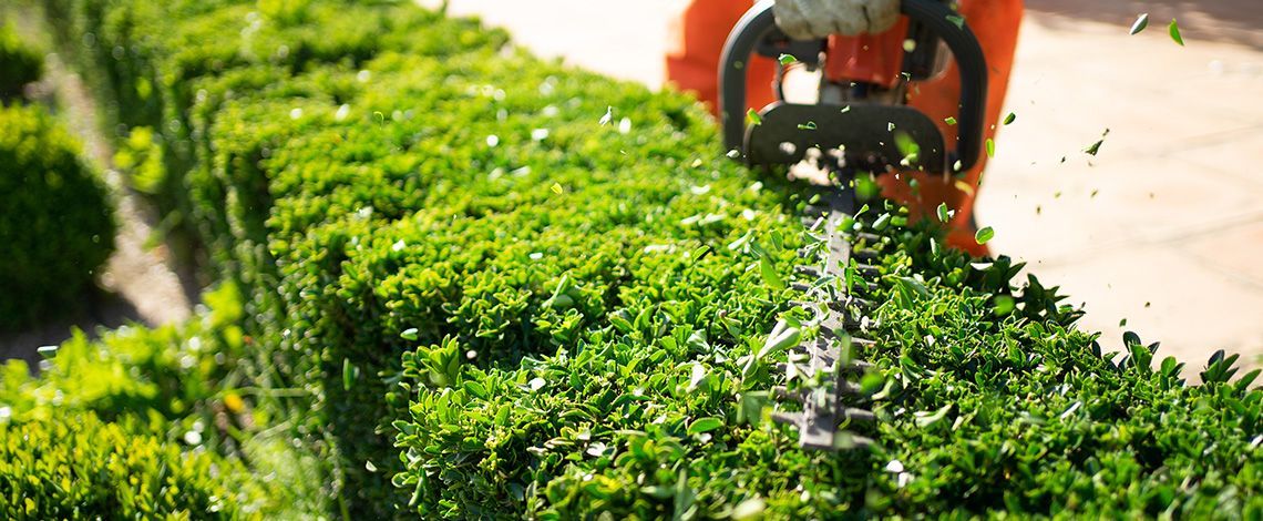 How Much Does Landscape Maintenance Cost in NJ? A 2025 Pricing Guide by Service