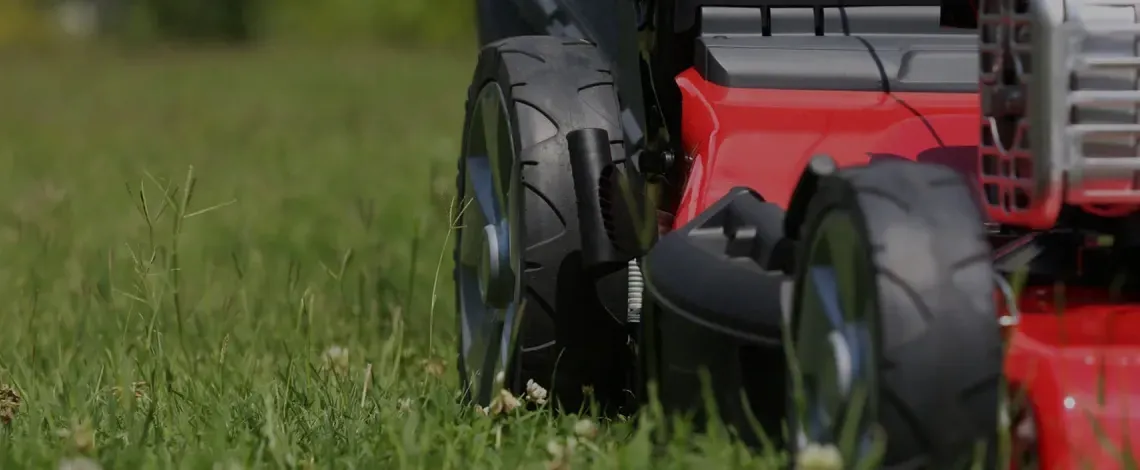 Landscaping for beginners and first-time homeowners