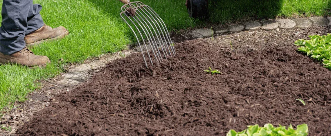 professional spring yard cleanup in nj