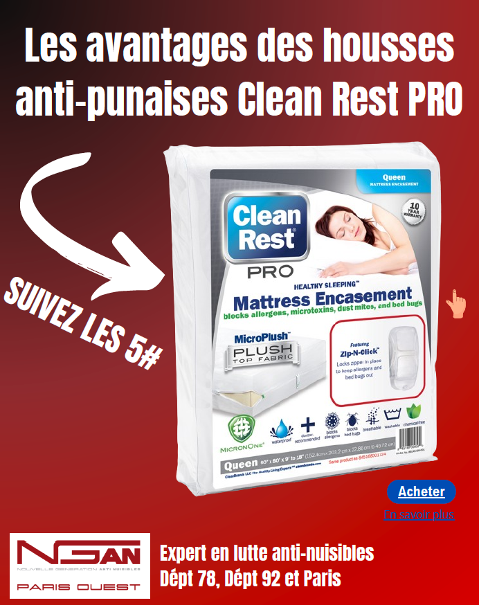  Protégez votre literie contre les punaises de lit avec Clean Rest PRO ! ️