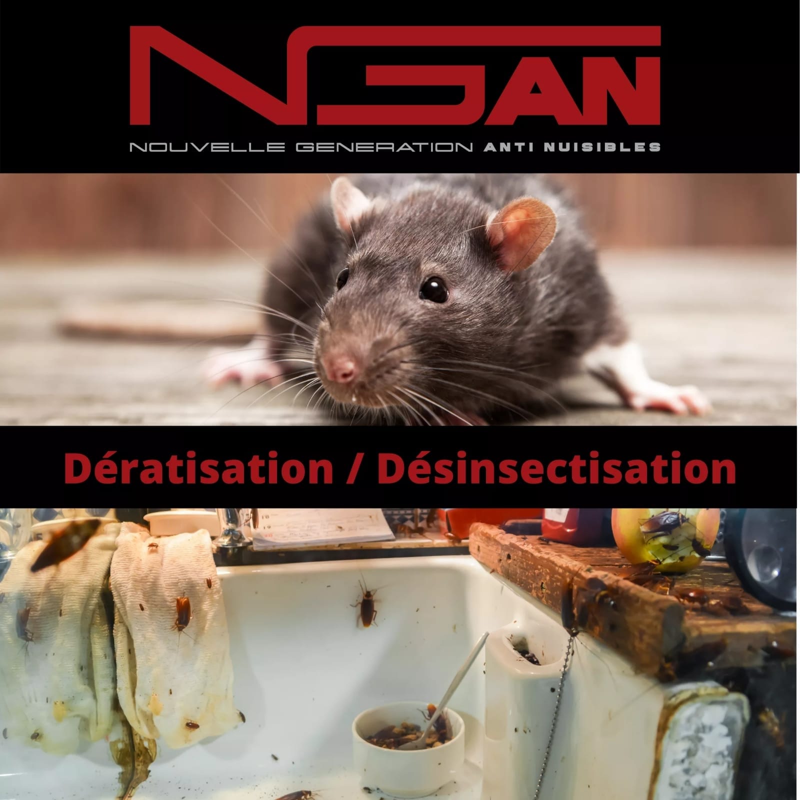 nouvelle generation anti nuisible ngan deratisation