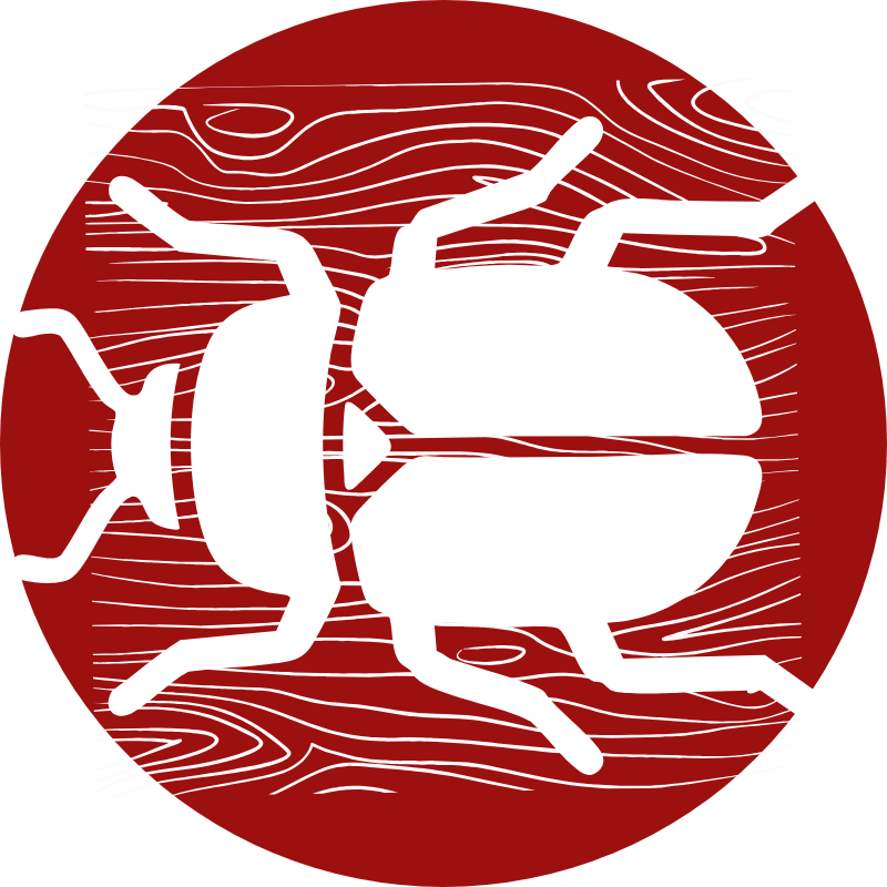 insectes xylophages, vrillettes et capricornes du bois