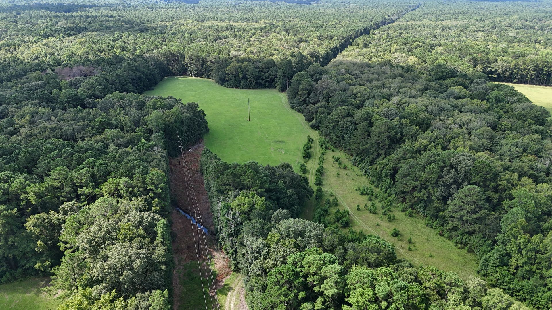 Lowcountry Land Trust 