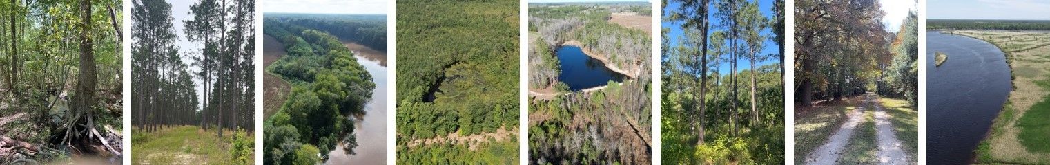 Pee Dee Land Trust protected properties