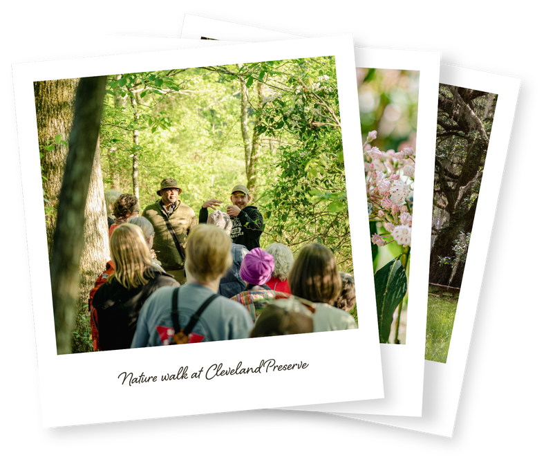A group of polaroids showing protected places in SCLTN's network.