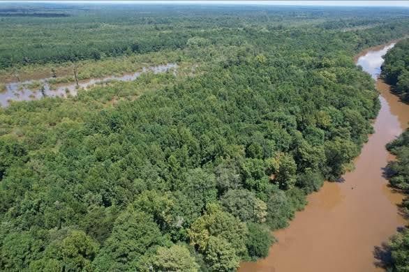 Pee Dee Land Trust works with landowners to protect 3,708 acres on the Great Pee Dee River 