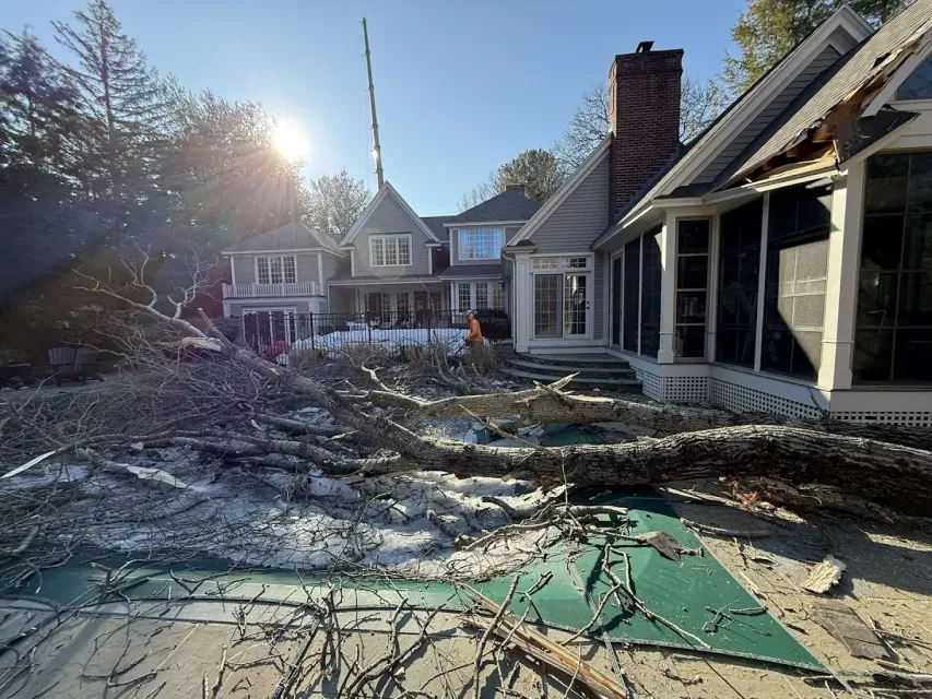 Emergency tree removal after storm damage in Cleveland TX