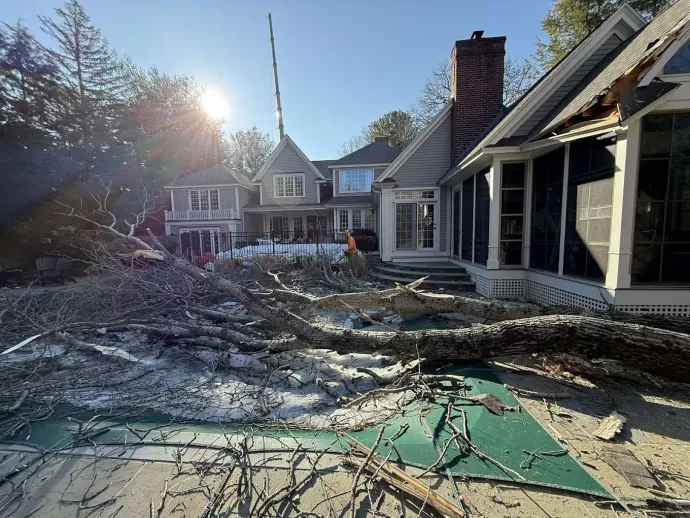 Emergency tree removal service by Pro National Tree Service in Cleveland TX