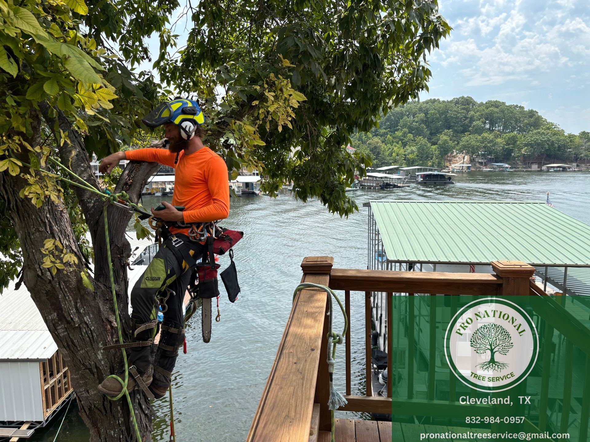 Pro National Tree Service crew removing a large tree at a residential property in Cleveland TX
