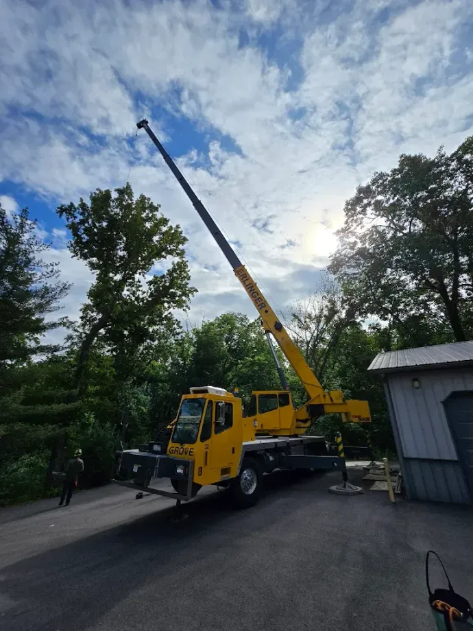 Commercial tree service crew trimming trees at a business property in Cleveland TX