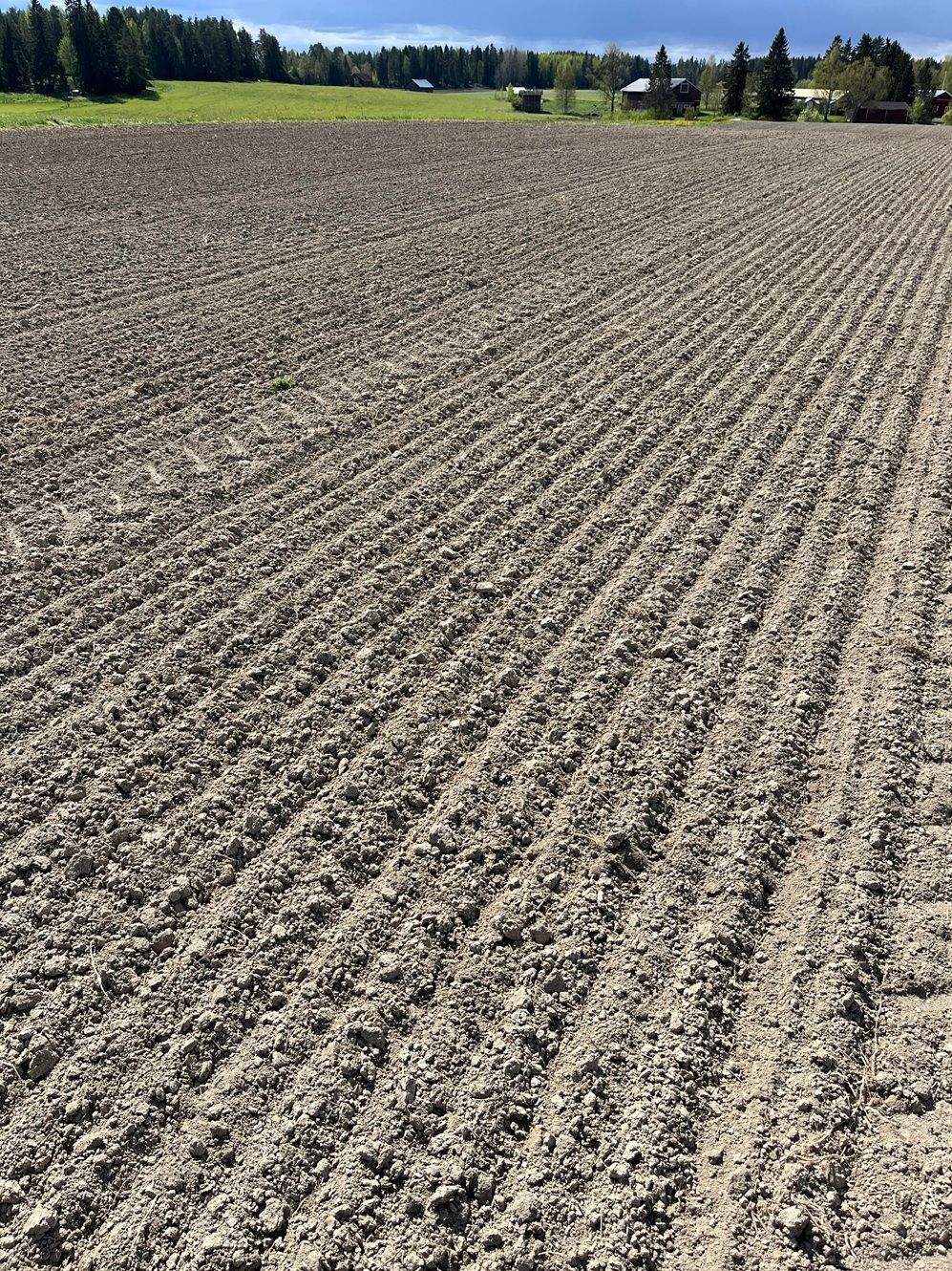 Smart Seeder kylvökoneen työjälki kevät 2025