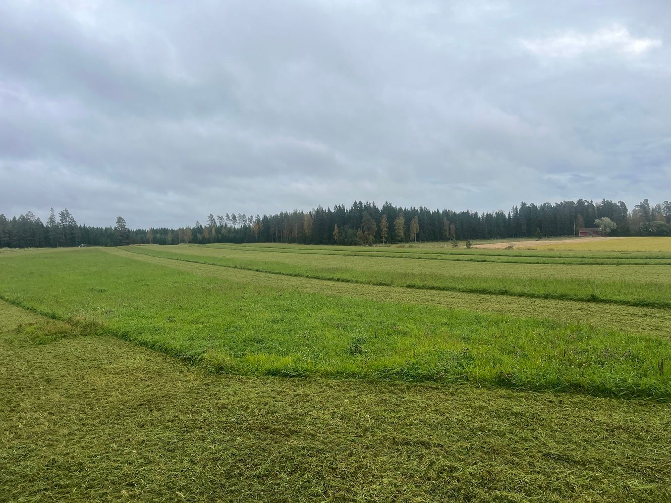 Tarkkuutta pellolla