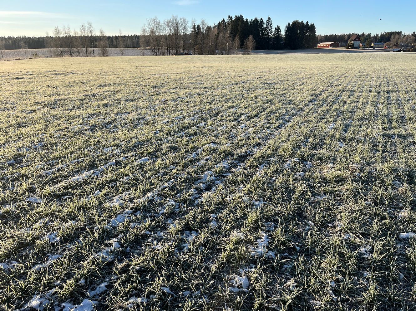 SMS Smart seeder kylvökone syysvehnän oraat syksyllä 2025
