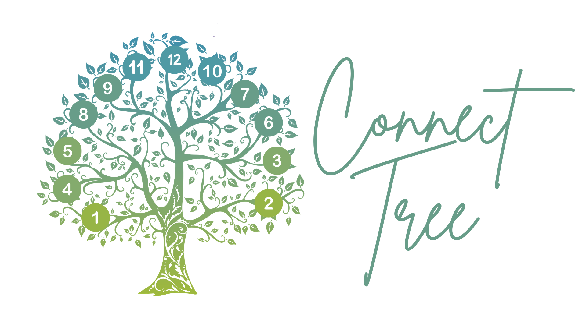 Stylized green tree with numbers 1-12 in circles at the ends of branches beside the words “Connect Tree” in cursive.