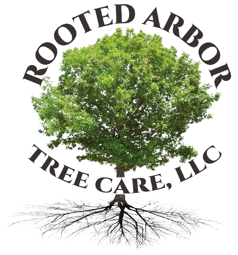 Tree Care Company; Tree Care Services | Rooted Arbor Tree Care ...