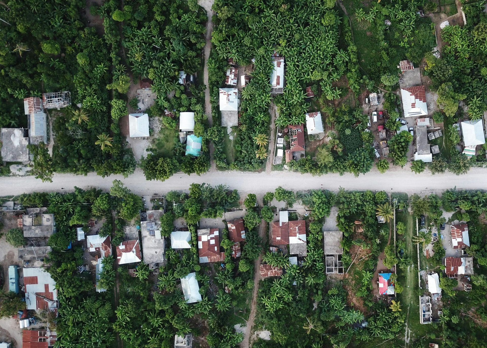 Aerial view of small houses nestled among dense green trees, separated by a straight, unpaved road.