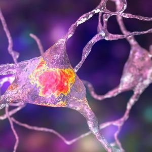 Angebot: Neurofeedback Booster