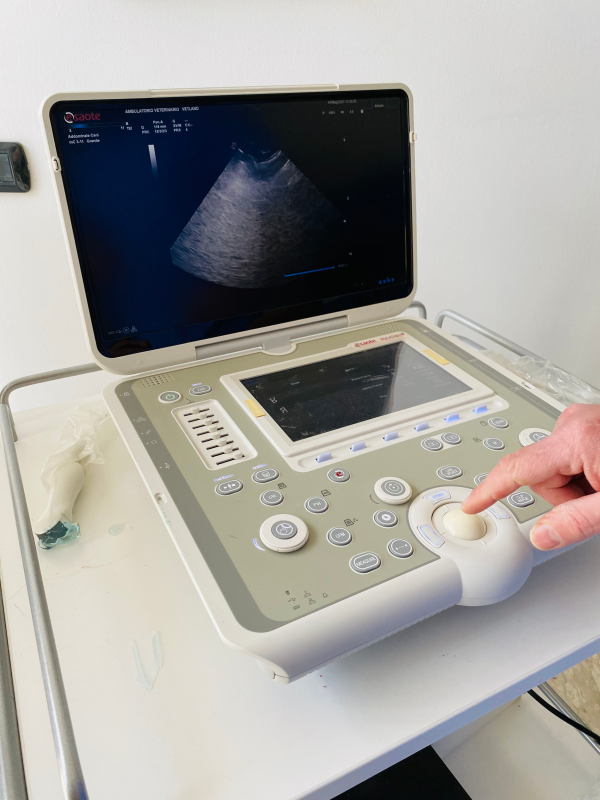Una mano regola la trackball di un ecografo portatile, visualizzando un'immagine medica sullo schermo.