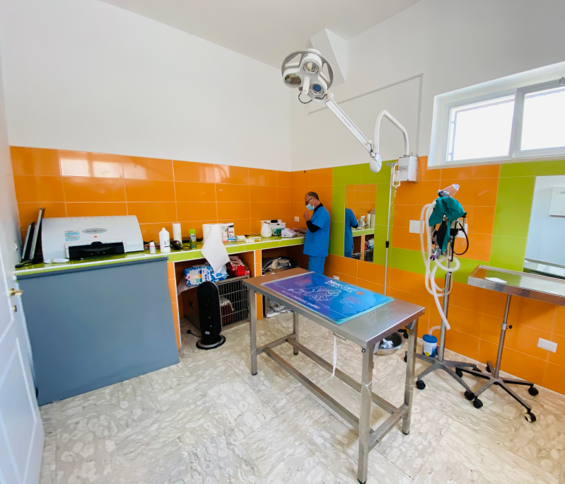 Una sala visite veterinaria ben illuminata con pareti arancioni e verdi, un lettino da visita in metallo e attrezzature mediche.