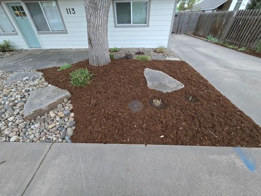 Front yard mulch bed with rocks and a tree beside a house and driveway