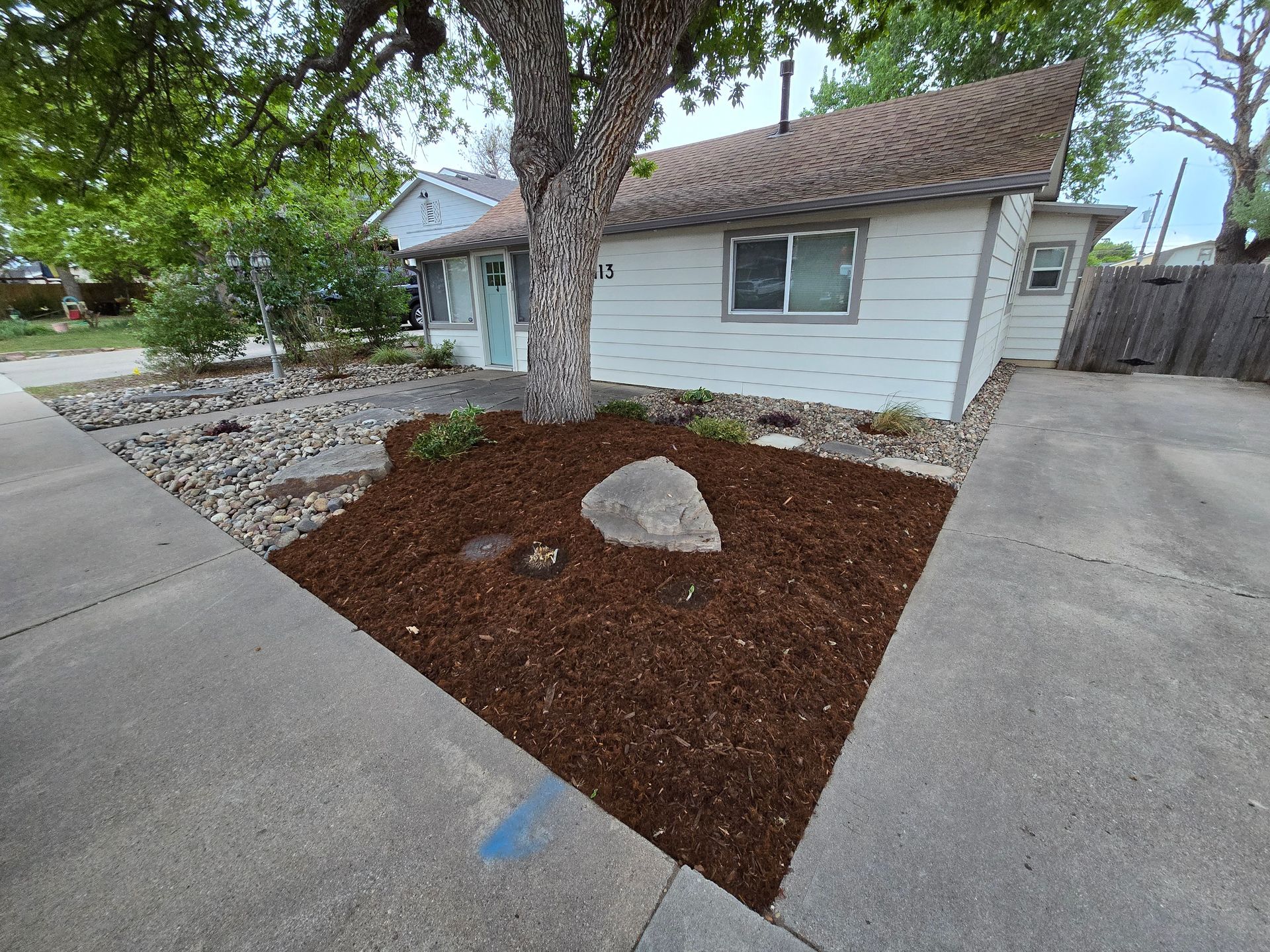 Front yard with a tree, mulch bed, and a large rock beside a white house and driveway.