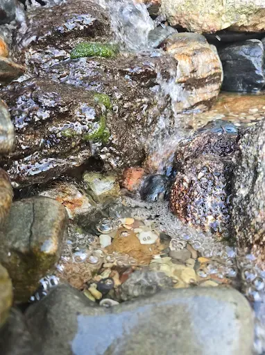 Rocks and pebbles with water trickling through a small stream