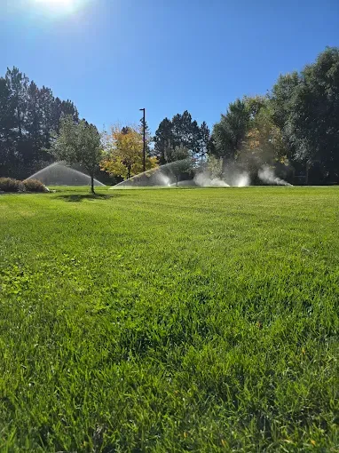 Green park lawn with sprinklers spraying water under a bright blue sky, trees in the background.