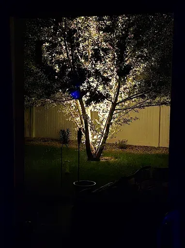 Nighttime yard with a lit tree beside a fence, and a small blue light on a pole in the foreground