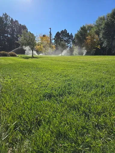Green lawn being watered by sprinklers under a blue sky, with trees in the background