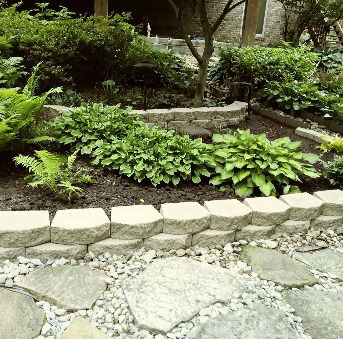 A stone patio with a low retaining wall bordering a garden bed filled with green hostas and ferns.