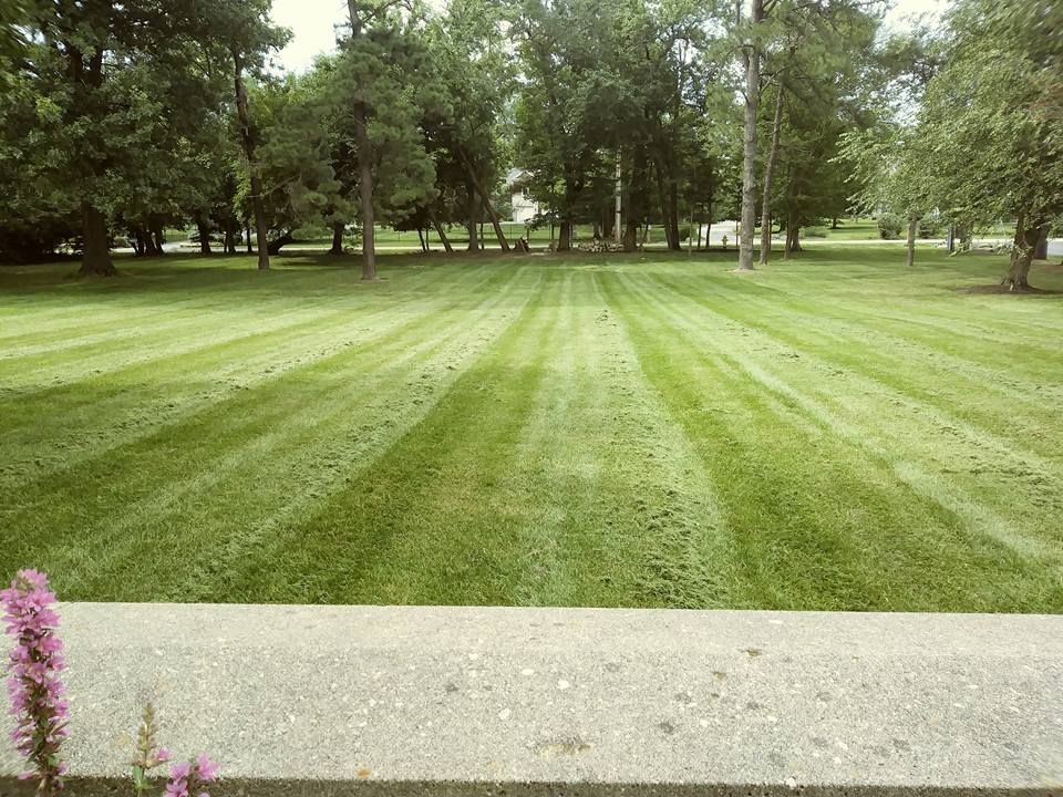 A view of a freshly mowed lawn with distinct light and dark green stripes, leading toward trees in the background.