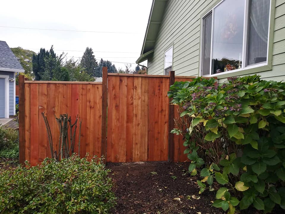 Wooden privacy fence beside a green house and shrubs in a backyard garden area