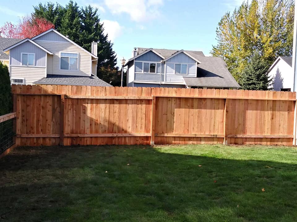 Backyard with green lawn and a tall wooden fence, with houses and trees in the background