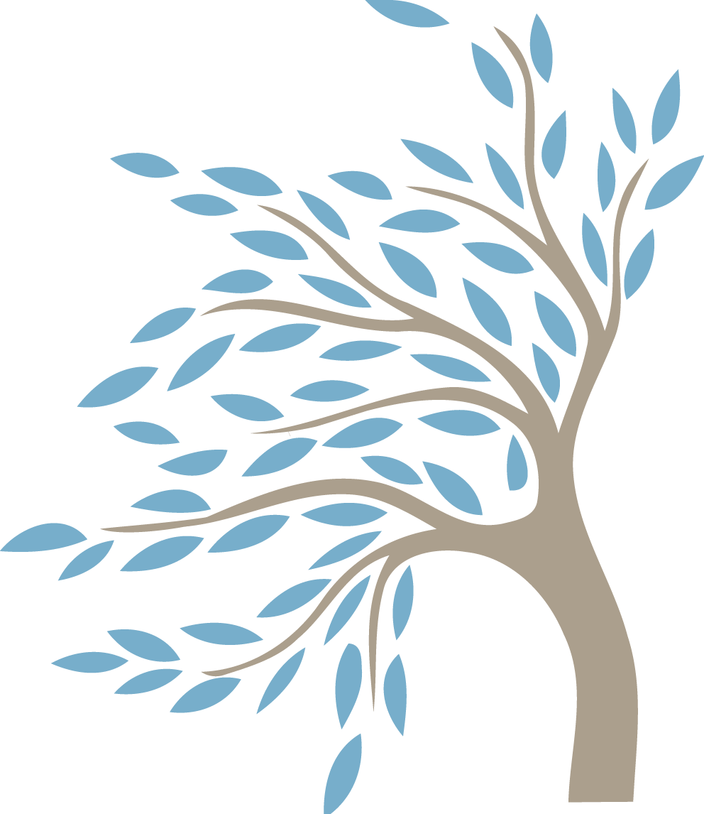 A tree with light brown trunk and branches; blue leaves appear blowing in the wind.